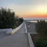 Sunny Bari