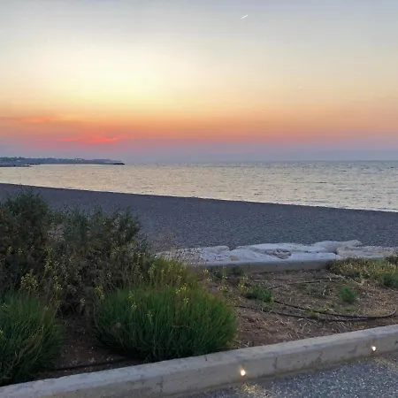 Sunny Bari