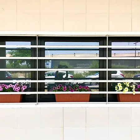 Sunny דירה בארי